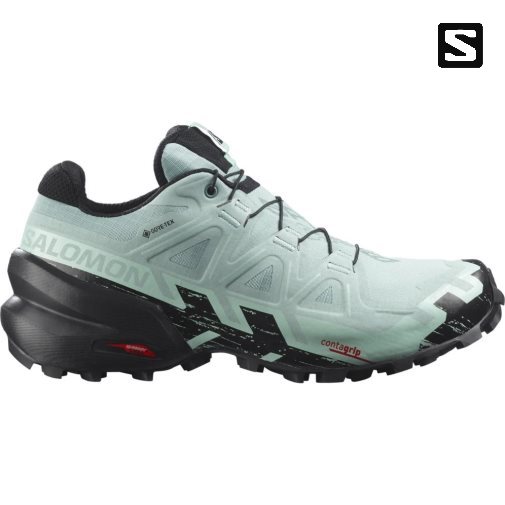 Sapatilhas Trail Running Salomon Speedcross 6 GTX Feminino Menta | PT R43690